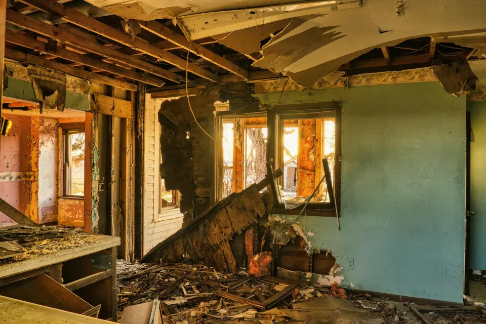 Our Story: A Commitment to Mold-Free Living